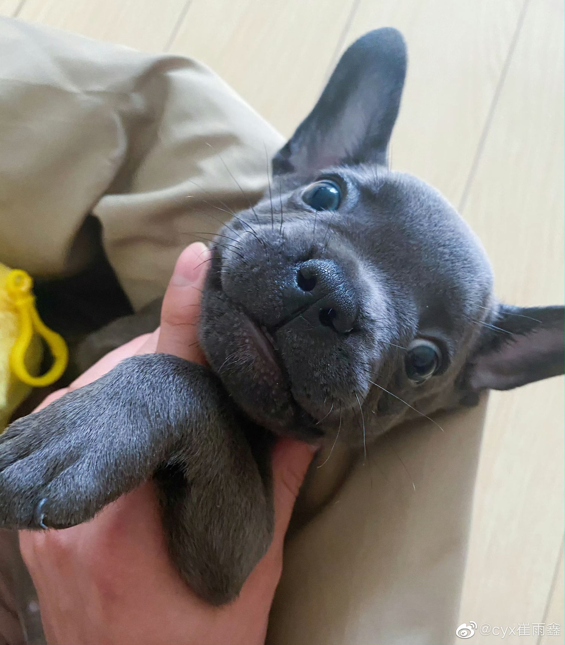 BLUE日常